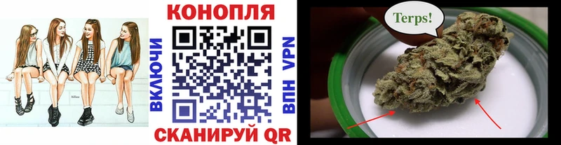 Бошки Шишки конопля  Туран 